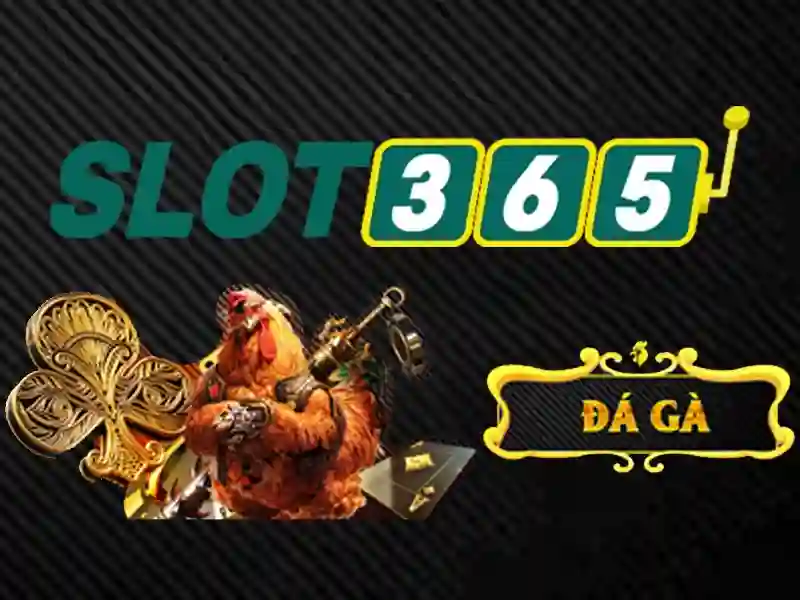 Slot365: Tổng quan về nền tảng cá cược trực tuyến