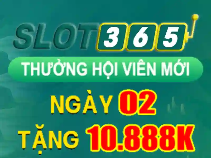 Trải nghiệm người chơi