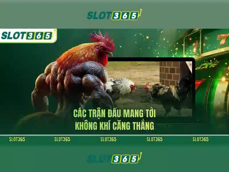 slot365 pulsa tanpa potongan: trải nghiệm chất lượng cho người chơi