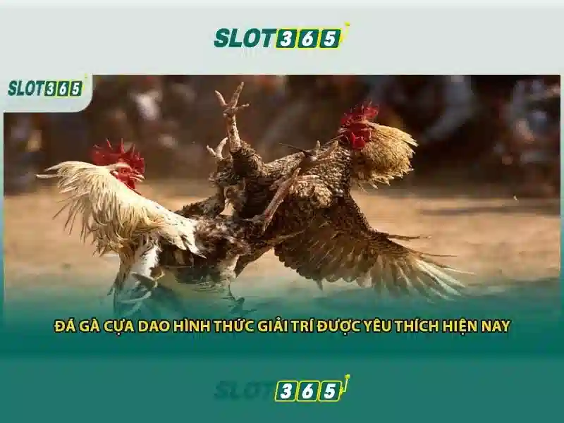 Slot365: Cổng trò chơi slot trực tuyến hàng đầu
