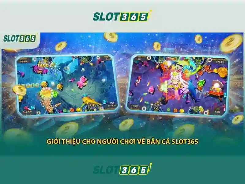 Sản phẩm và dịch vụ cốt lõi — ứng dụng thực tế của hoki slot365