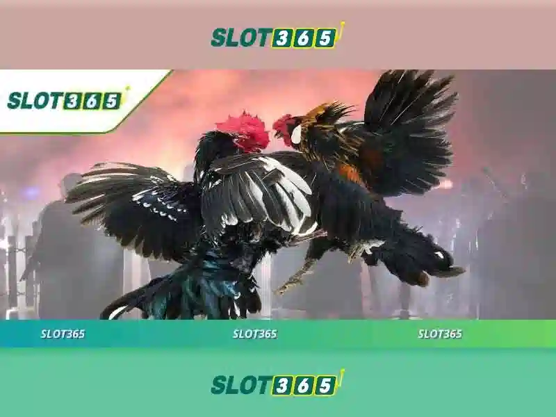 Sản phẩm và dịch vụ cốt lõi của slot365 tảng 200k