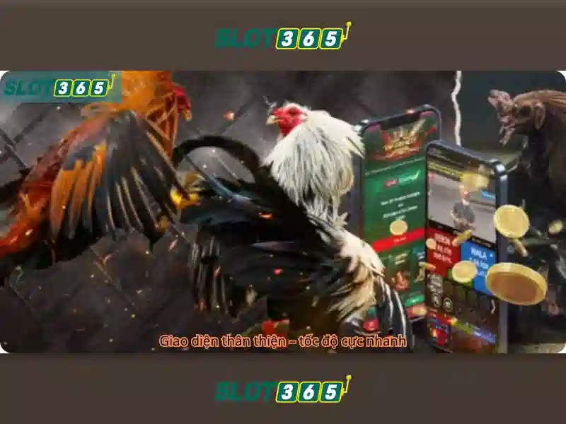 Slot365 là nền tảng giải trí slots trực tuyến nổi bật