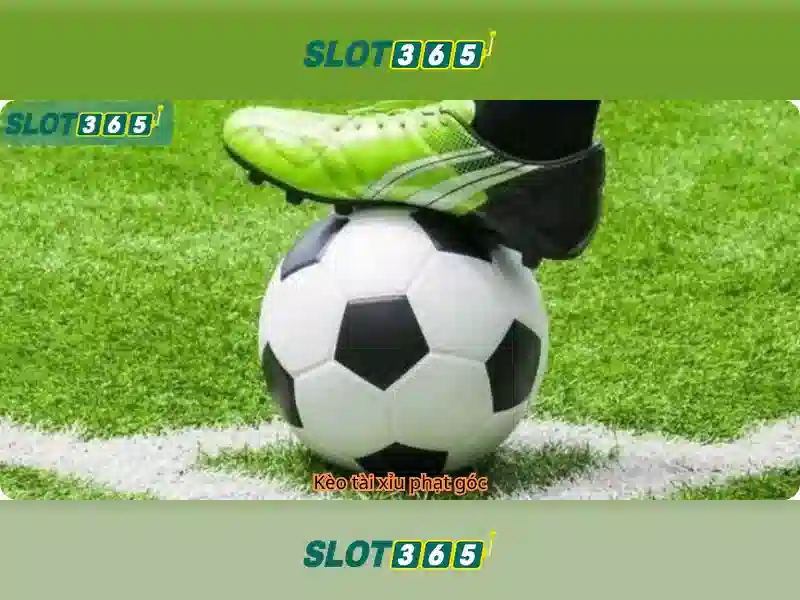 Slot365: Trải nghiệm chơi slot trực tuyến tốt nhất