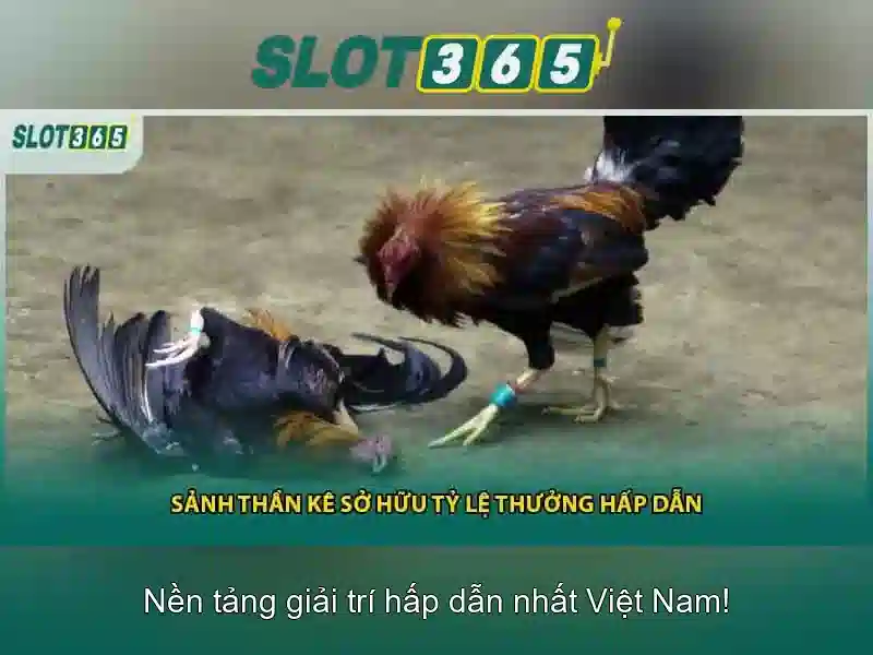 Slot365: Nền tảng slot trực tuyến đỉnh cao
