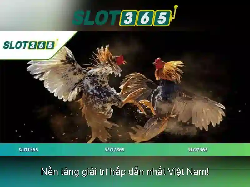 Chính sách bảo mật và công khai