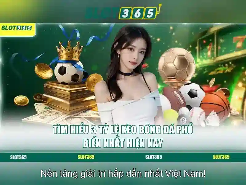 Thanh toán và hỗ trợ