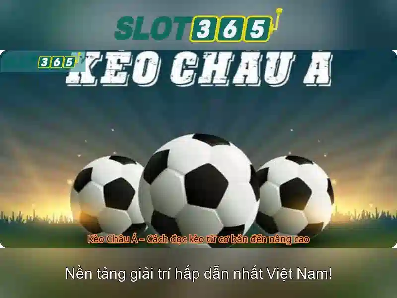 Giới thiệu về Slot365 Giới thiệu về Slot365