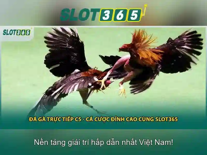 slot365 vn – Chủ đề và Giá trị Cốt lõi