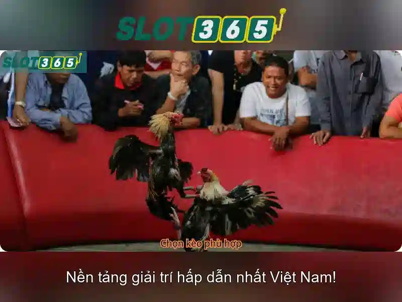 Slot365: Nền tảng trò chơi slot trực tuyến hiện đại