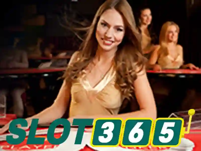 Slot365: Tổng quan về nền tảng cá cược trực tuyến