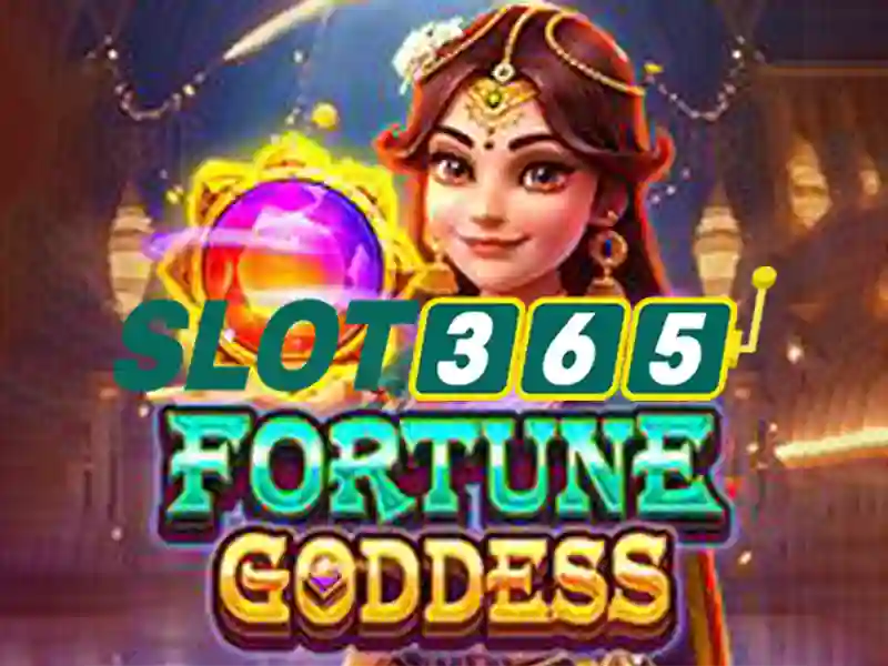 slot365 – chủ đề tổng quan và giá trị