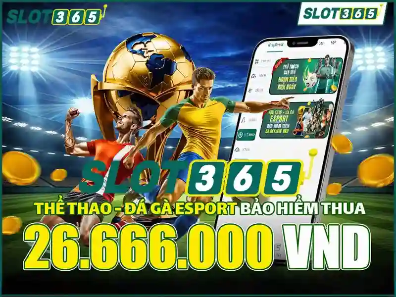 Kết luận và khuyến nghị